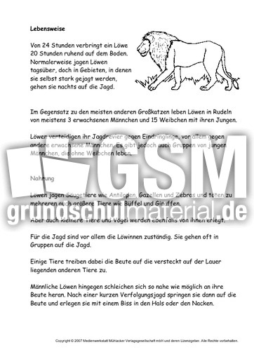Löwe-Text-2.pdf